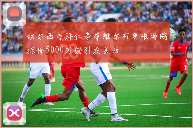 切尔西与拜仁争夺维尔布鲁根海鸥标价5000万镑引发关注